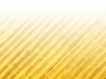  糧機廠(chǎng)的馬達聲響起來(lái)了